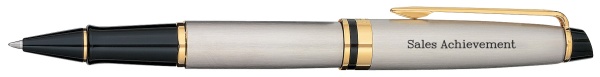 Ручка-роллер Waterman Expert 3, цвет: Stainless Steel GT, стержень: Fblk
